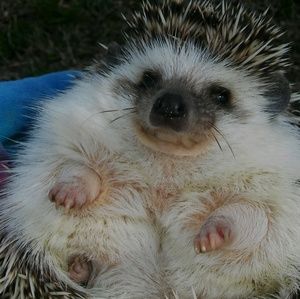 Meet your Posher, Jayde